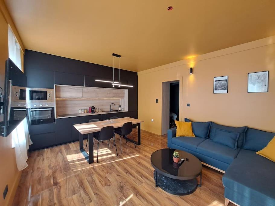 Geneve - Logement Fastueux Διαμέρισμα Ρενς Εξωτερικό φωτογραφία